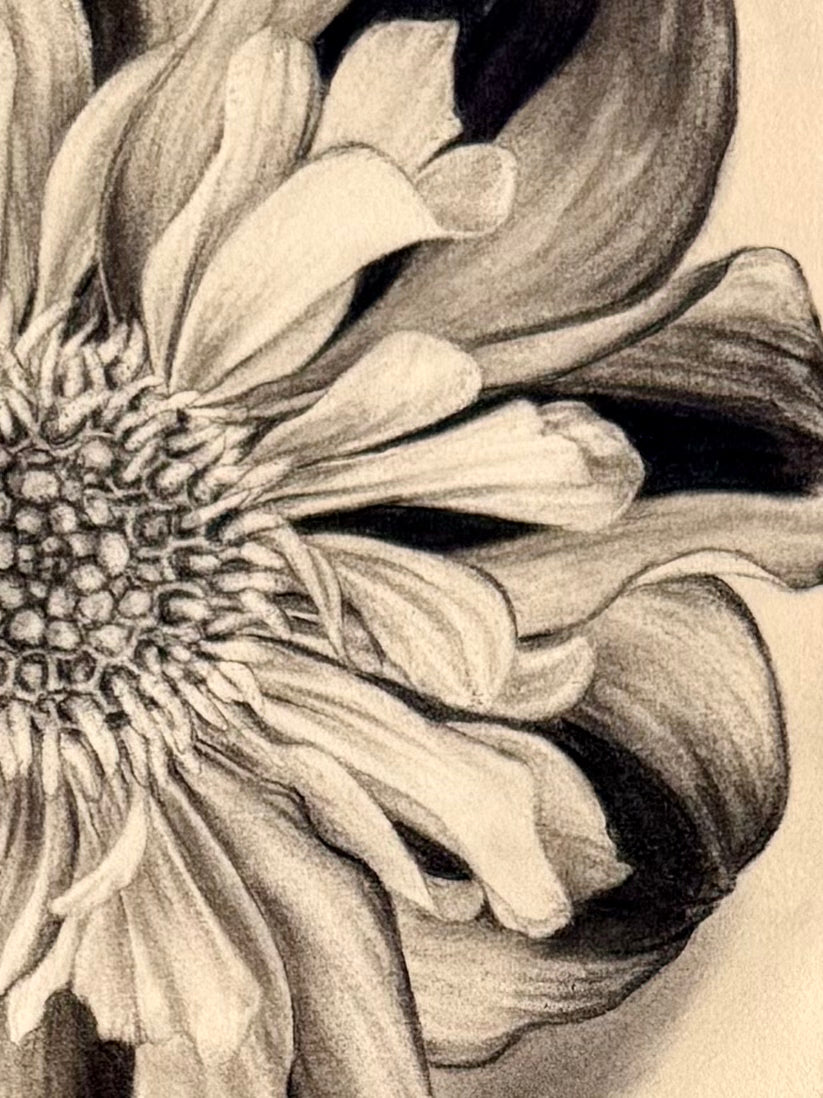 Dahlia No. 120