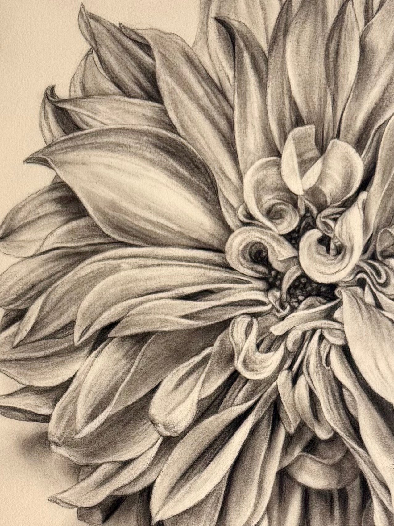 Dahlia No. 119