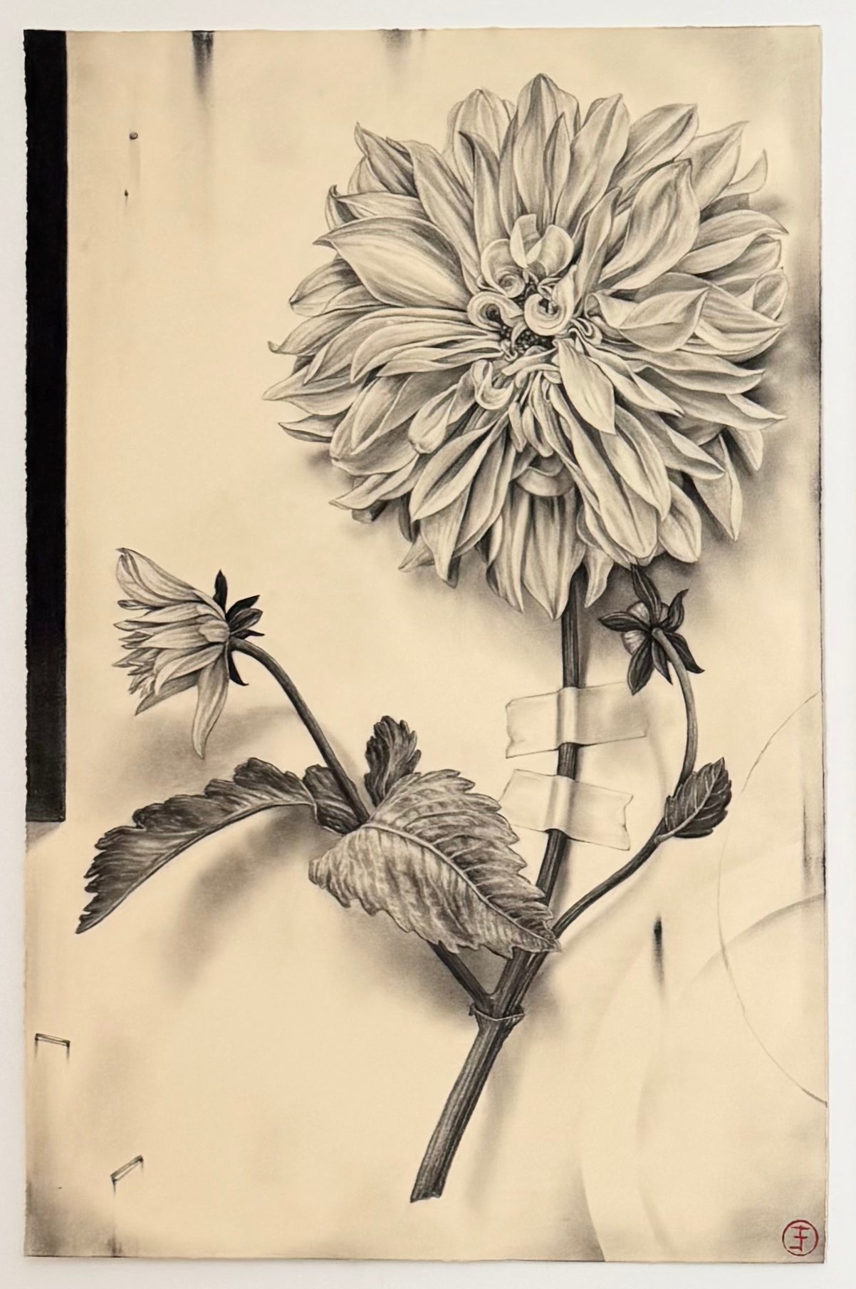 Dahlia No. 119