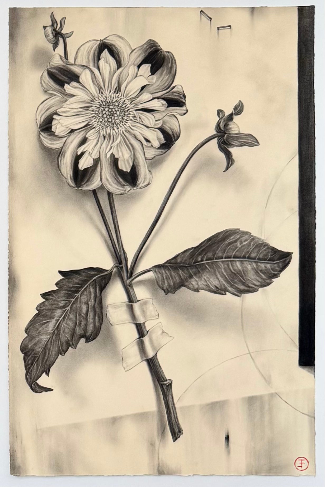 Dahlia No. 120